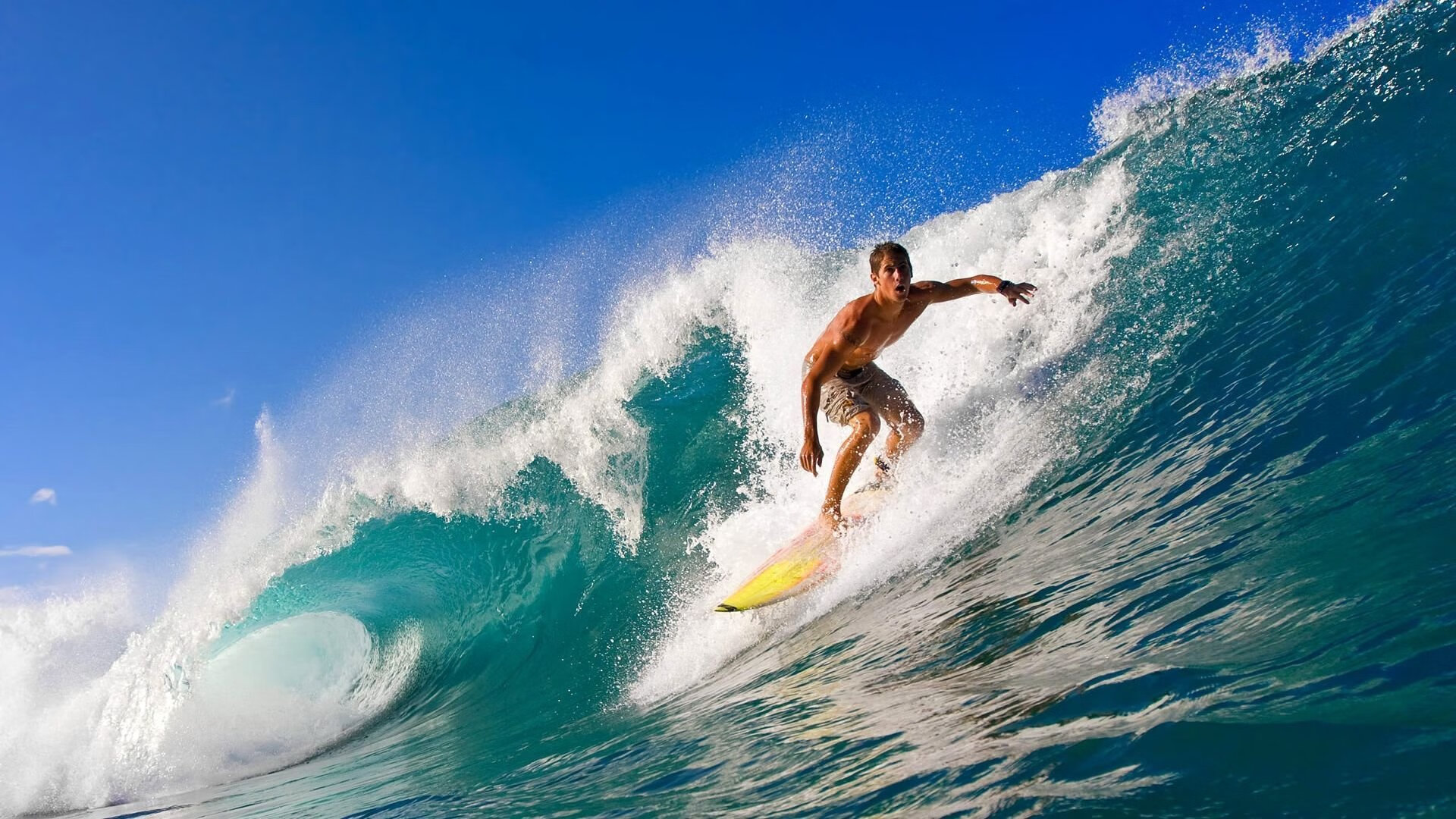 球场外的故事:运动员的家庭生活引发关注,运动员在球场训练形容词
